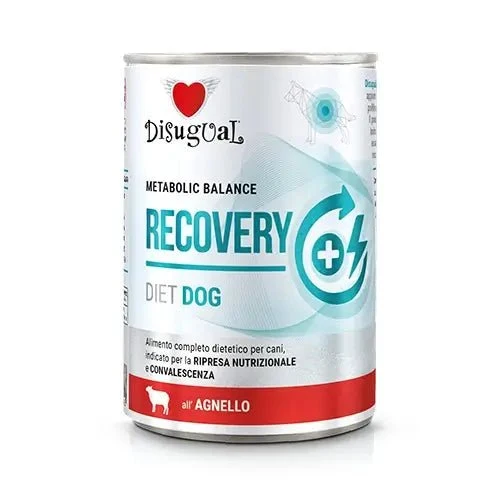 Disugual Diet Perro Recuperación Cordero Comida Húmeda 400g