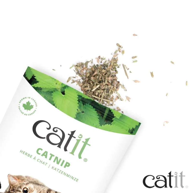 Catit | Catnip Puro Canadiense para Gatos (28g)