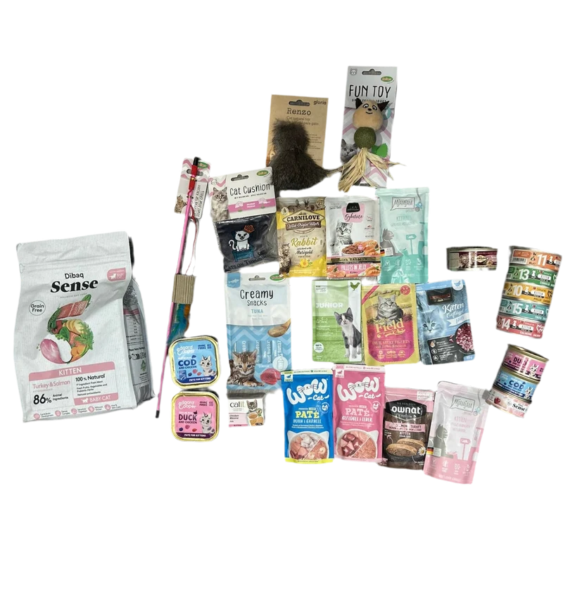 Pack Bienvenida para gatitos