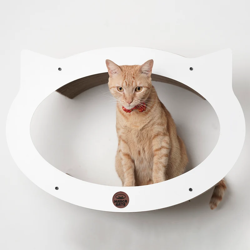 Cama Flotante Gatto