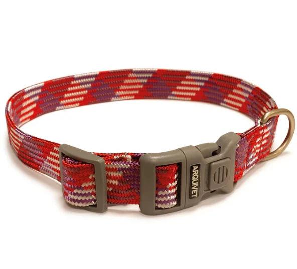 Coleira Piemonte