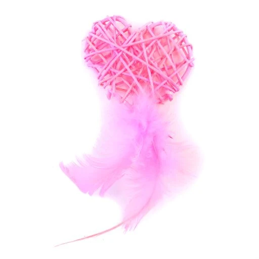 Brinquedo para Gato Coração Rosa com Plumas Freecat
