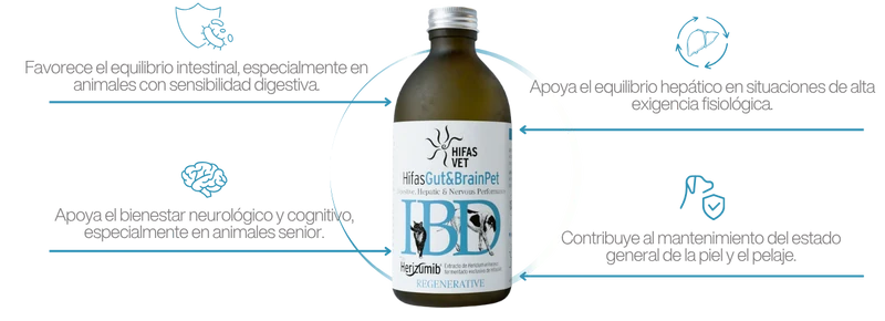 HIFAS Gut&Brain Pet | Complemento natural para perros y gatos