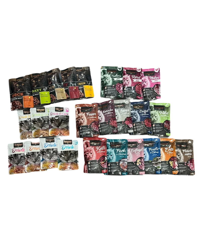 Leonardo | Pack de prueba