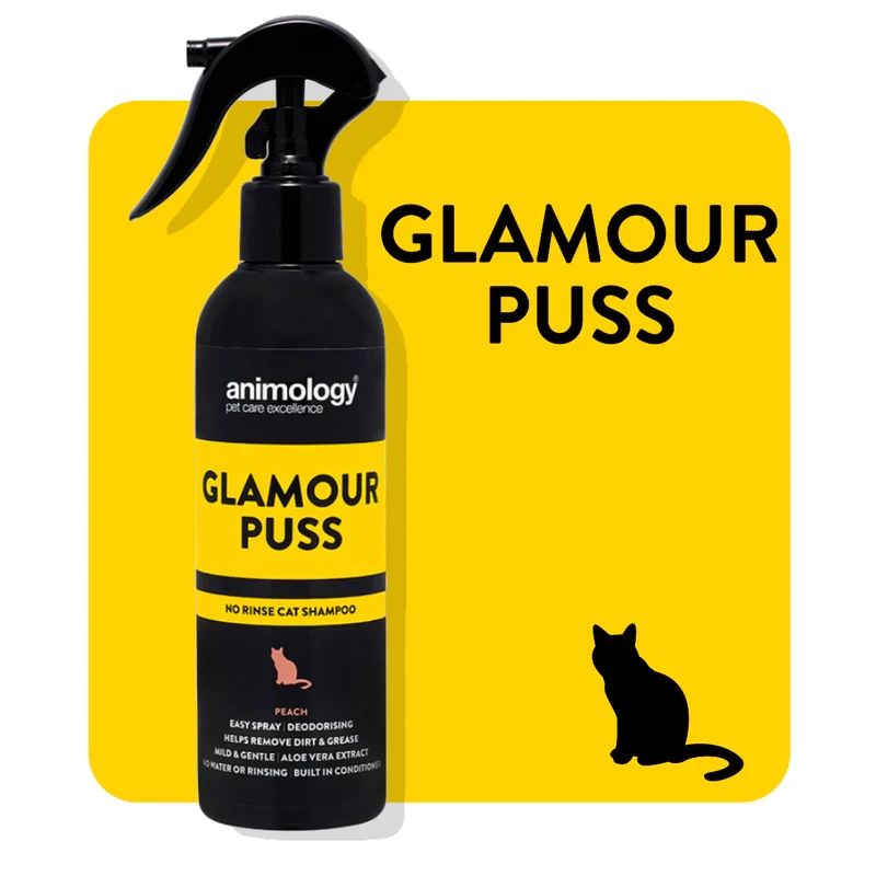 Shampoo Animology Glamour Puss No Rinse para Gatos 250ml | Pêssego