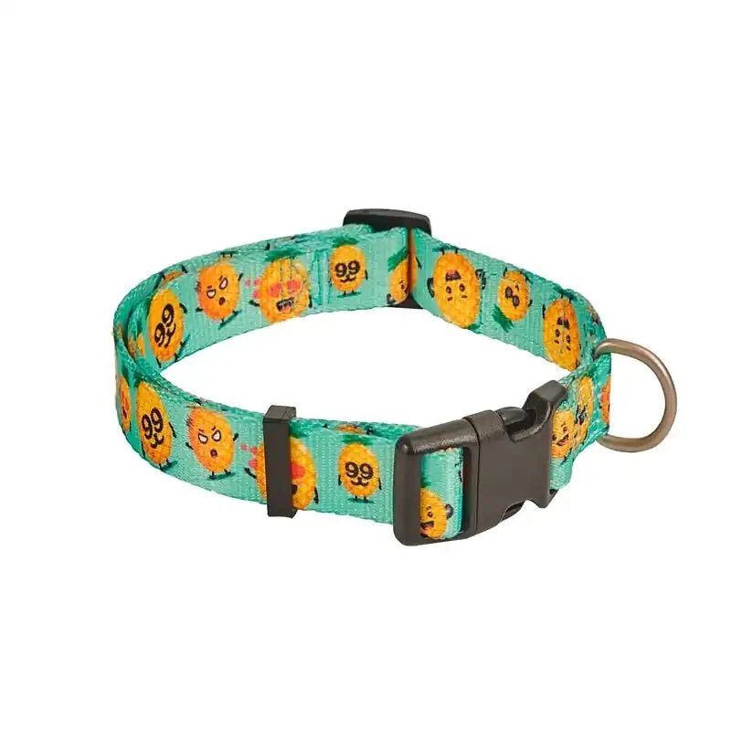 Freedog Pineapple Breeze Collar Ajustable 20-50cm