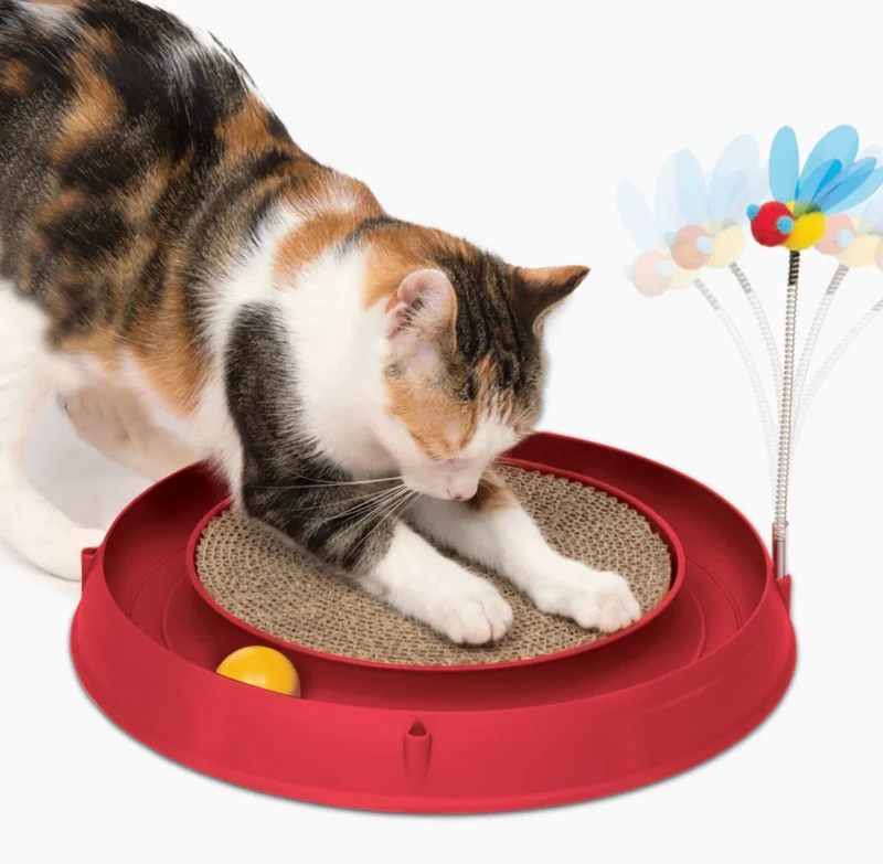 Catit | Circuito con pelota y base para rascar
