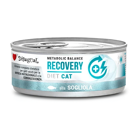 Disugual | Recovery - Lenguado (12x85g)