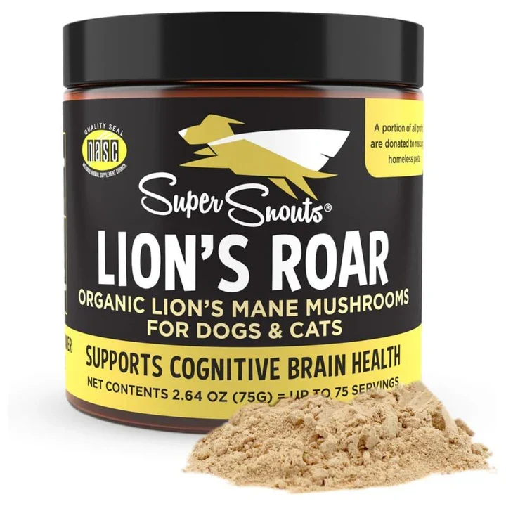 Firm Up! | Lion's Roar - Hongo Melena de León. Apoyo cognitivo y digestivo (75g)