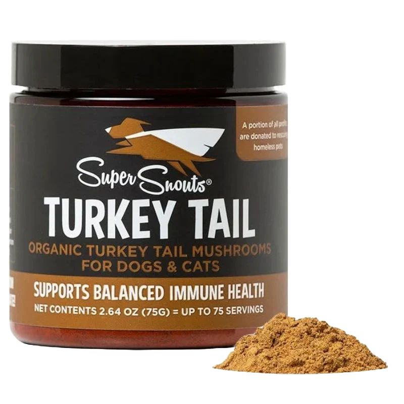Firm Up! | Turkey Tail – Hongo inmunomodulador y antivírico (75g)