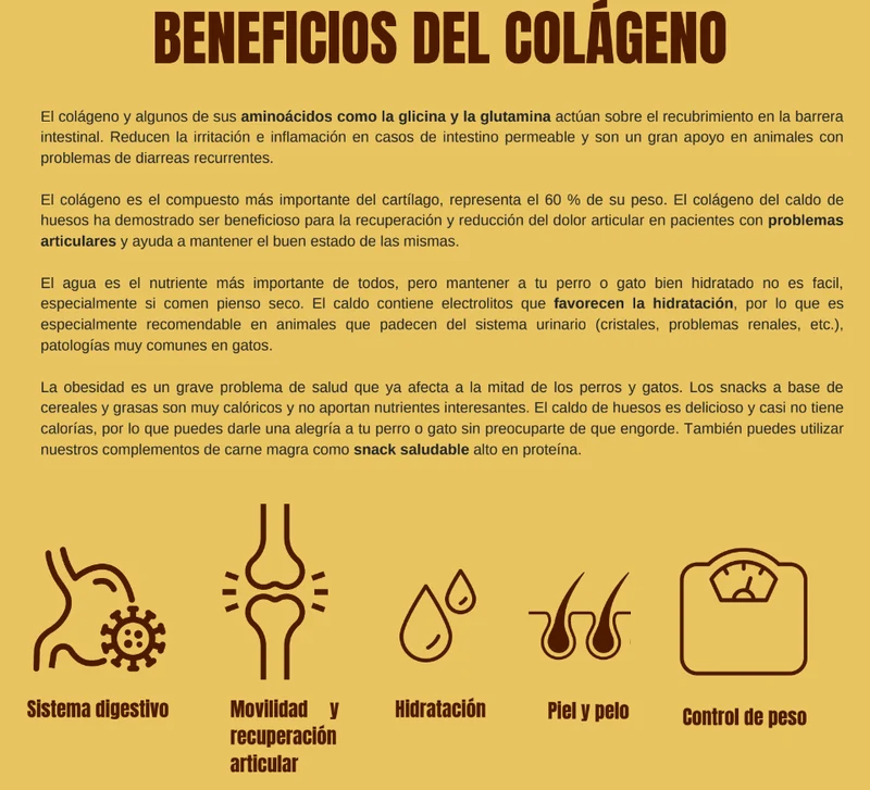 WESO | Pechuga de Gallina en Caldo de Huesos 400g