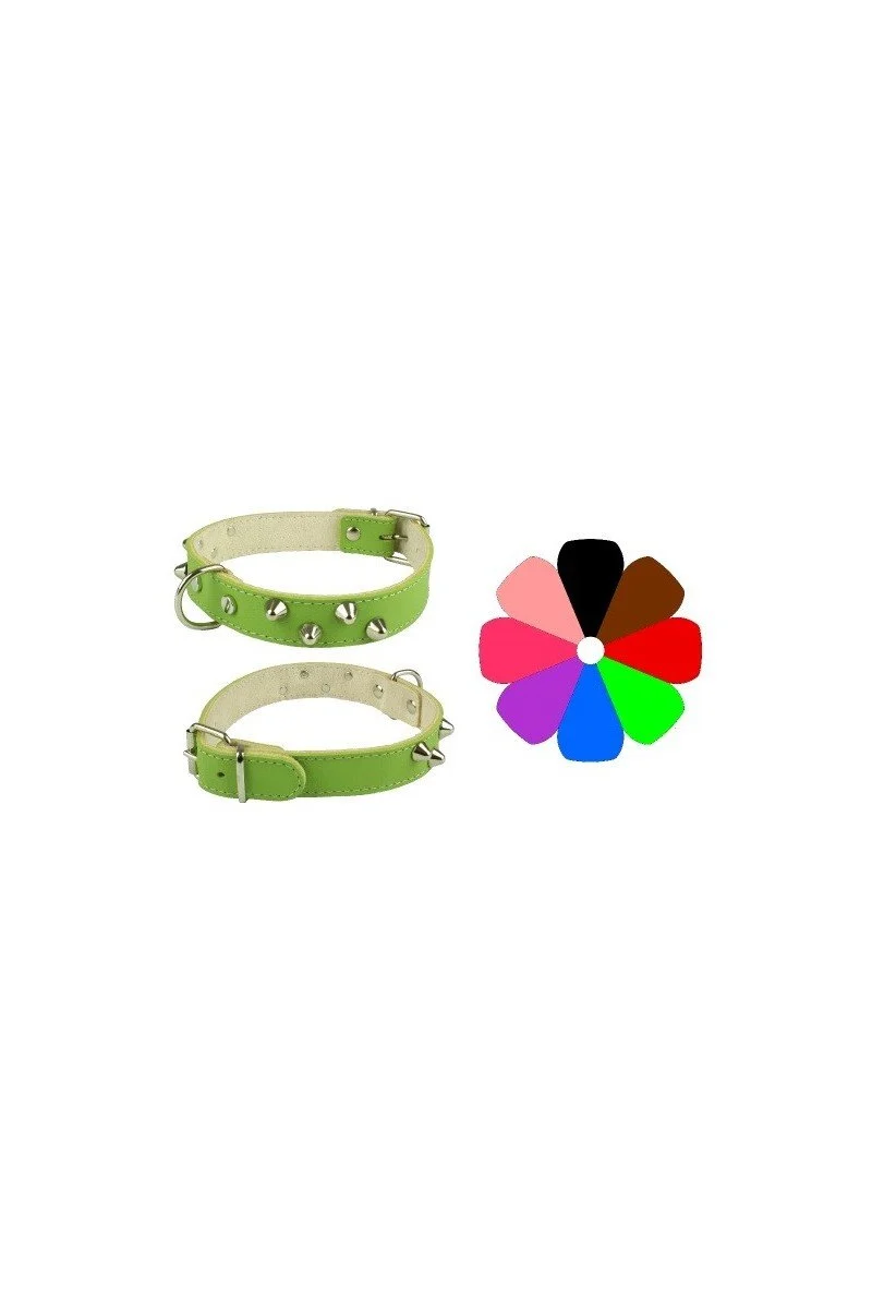 Youpet Collar Mountain CO2F BCO Mediano 100g
