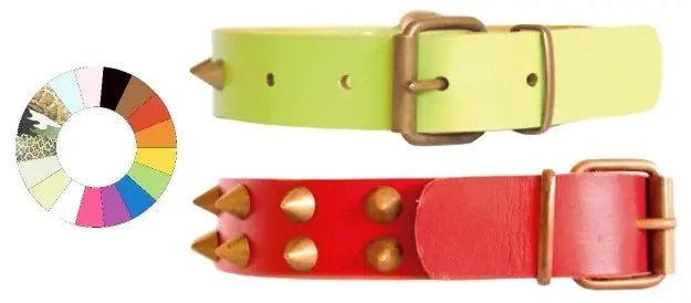 Youpet Collar Leather Class CO1F MR2 39-48cm