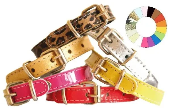 Youpet Little Charol Collar Perros Pequeños Ajustable 18-22cm