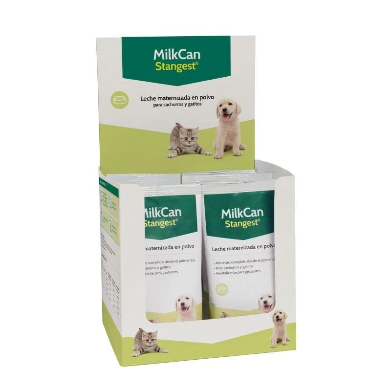 Stangest Expositor Leche Milkcan 100 G X 10 Uds