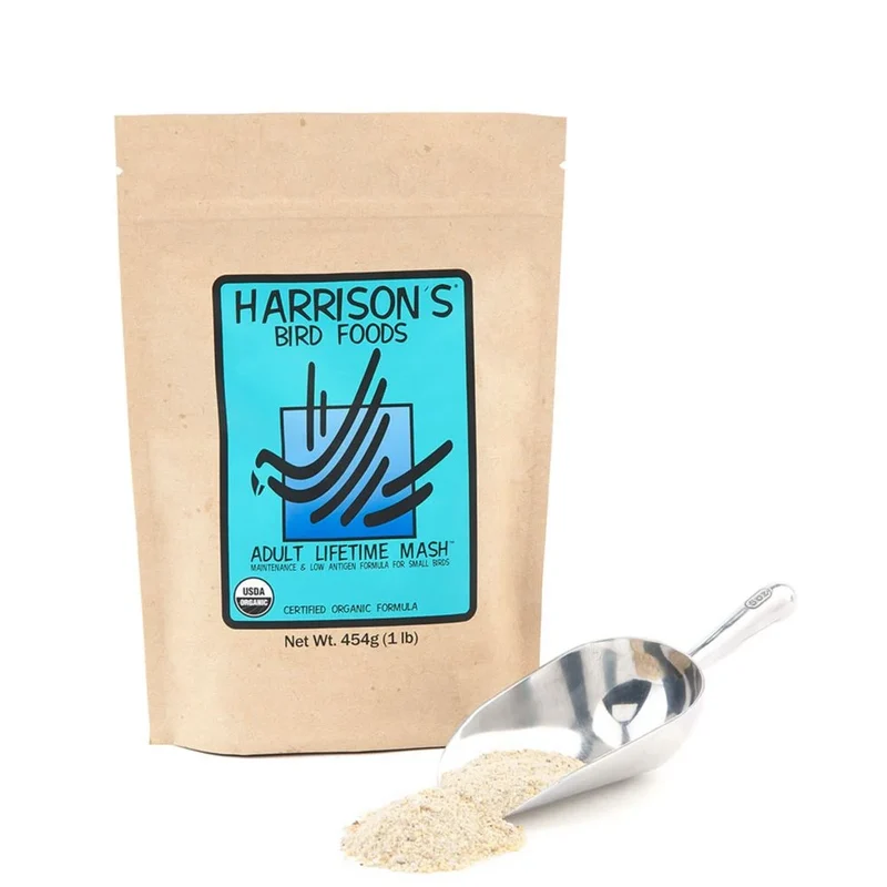 Harrison Mantenimiento Picadillo
